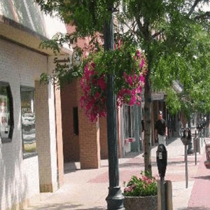 Lightpole with hanging flower basket