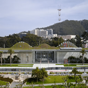 Outdoor view of the California Academy of Sciences