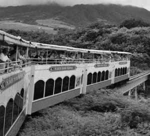 Tour en tren de St. Kitt a través de la selva tropical.